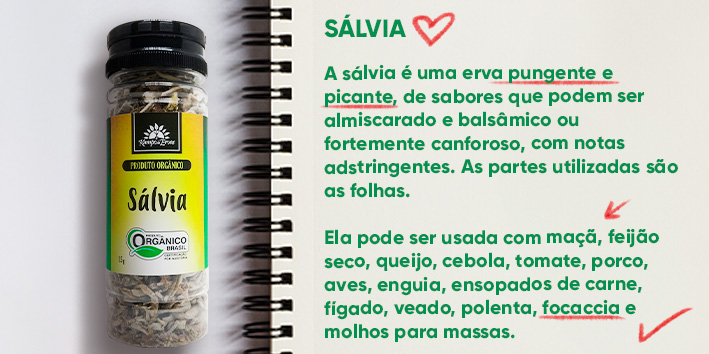 Sabores e saberes - Salvia 2